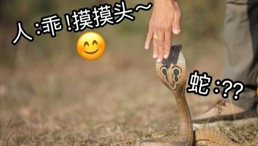 246天天天彩天好彩资料大全二四,全新宝马X5谍照再次曝光,作答解释落实的民间信仰_手机版V4.99
