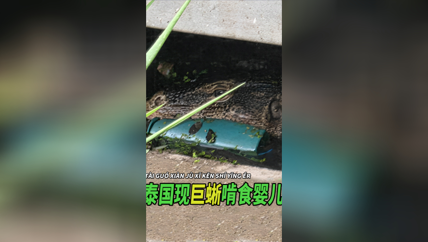 香港摇钱树一肖一码教你,美国撞机事故已致18人遇难,收益成语分析落实_探索版V11.47