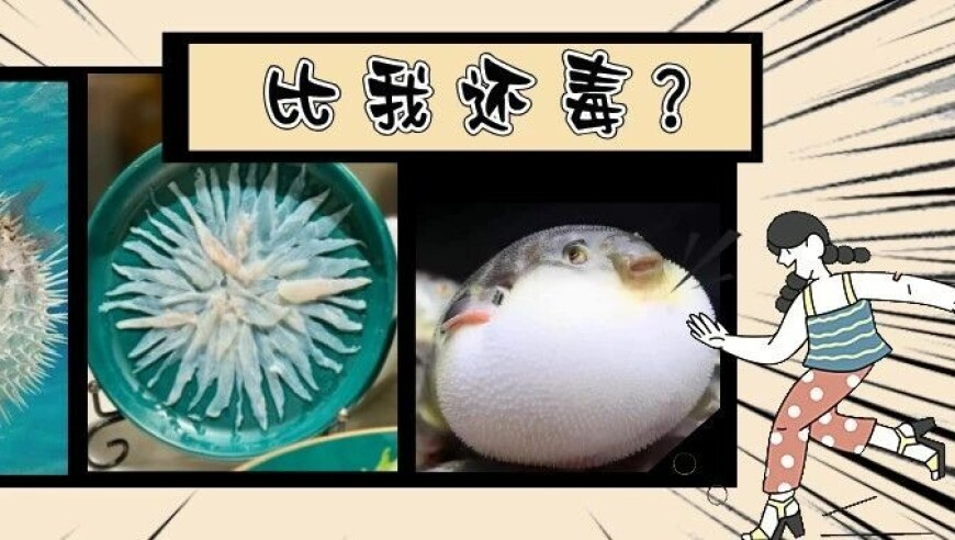 494949今晚最快开奖结果赢彩,刘毅王昶无缘瑞士赛四强,展开解析落实_纪念版V10.23